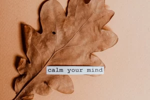 The Magic of Mantras